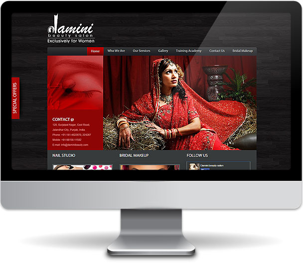 Damini Beauty website